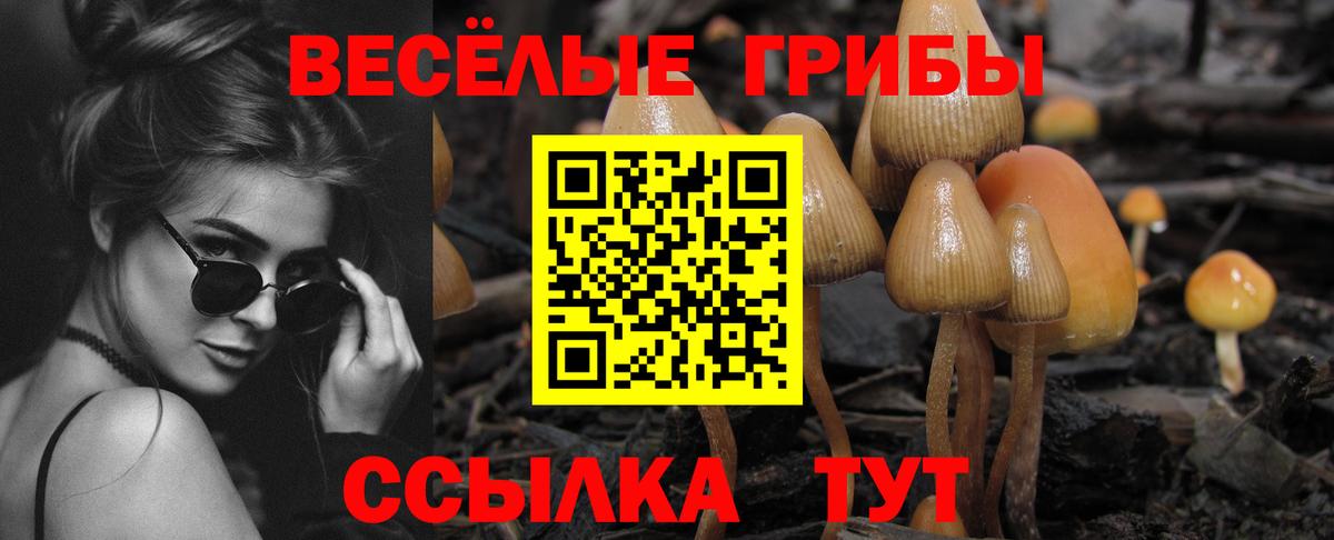 Галлюциногенные грибы GOLDEN TEACHER Карпинск